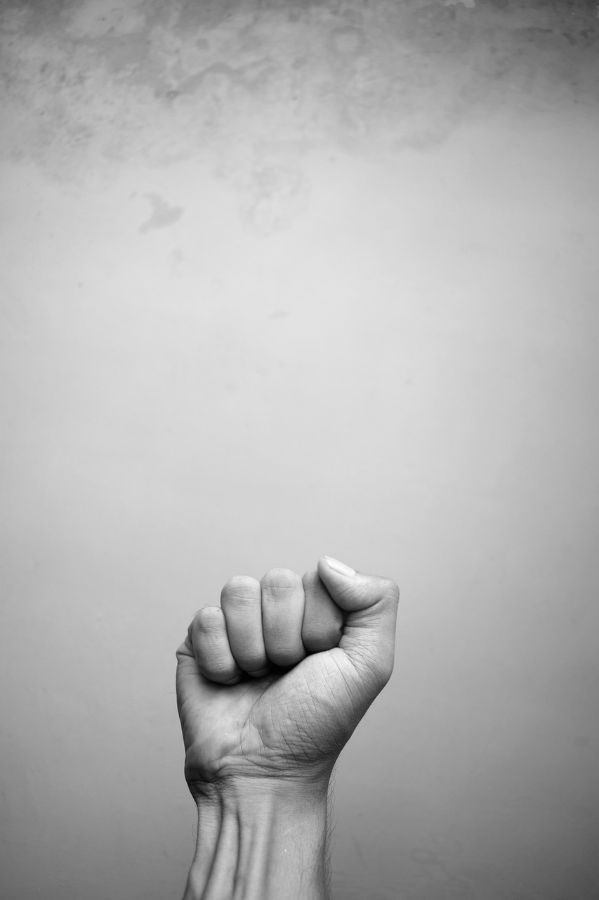 hand, fist, revolt, struggle, revolution, anger, victory, aggressive, demonstration, strong, protest, communism, arm, wrist, uprising, justice, conflict, slave, strike, socialism, rebel, power, rebellion, disregard