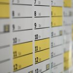 calendar, dates, schedule, days, wall calendar, year, meeting, office, planning, calendar, calendar, calendar, calendar, calendar, schedule, schedule